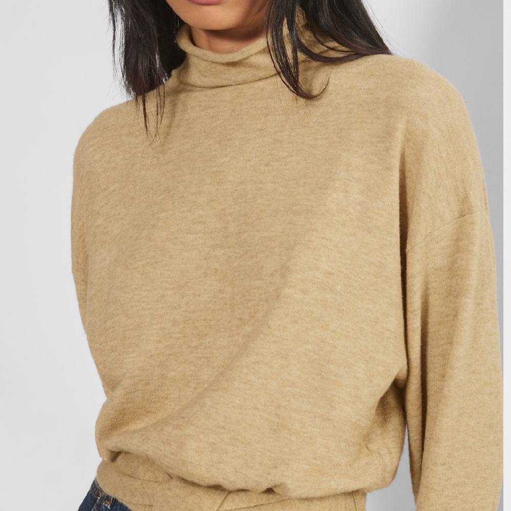 Aritzia Alpaca Wool Blend knit turtleneck